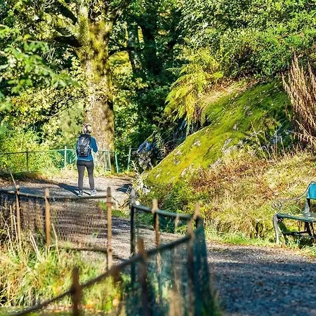 Trio In Centre - Norwegians Minimum Age 25 Bergen